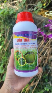 [Freeship Max] Phân bón lá MAX FRUIT LỚN TRÁI chuyên cây có múi giúp bóng trái mỏng vỏ nặng ký ngon ngọt chai 500ml_VTNN TIEN KHOA