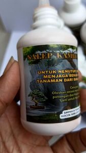 Salep Kambium Bonsai-Formula Kambium PREMIUM (100ml)