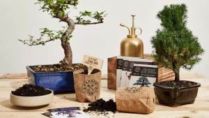 Garden Republic Bonsai Tree Kit -Bonsai Seeds 4 Types - Seed Starter Plant Growing Kit - Potting Soil Jute Bags Pruning Shears Tool Plant Markers - Gardening Gifts