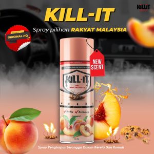 PEST CONTROL UBAT LIPAS KERETA KILL IT SPRAY LIPAS KERETA ANTI CRAWLING INSECT RACUN LIPAS UBAT (150ml)