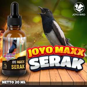 OBAT BURUNG SERAK | TENGGOROKAN SERAK | MENGEMBALIKAN SUARA SERAK | MAXX ANTI SERAK 20 ML