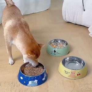 ER52858 Anti Rollover Stainless Steel Pet Bowl Cartoon Detachable Dog Food Bowls Pet Water Dispenser Large Capacity Cat Food Feeder For Dogs Cats
