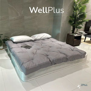 WellPlus ท็อปเปอร์ รุ่นZplus ใยขนห่านเทียม หนา 4 นิ้ว  (ขนาด 3.5/5/6 ฟุต)