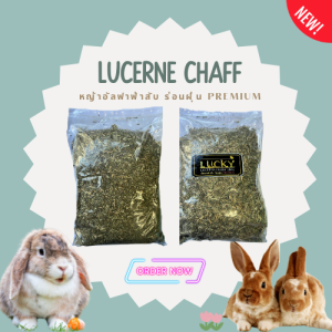 ใหม่ แนะนำ Lucky Lucene Chaff หญ้าอัลฟาฟ่าสับ ร่อนฝุ่น พรีเมี่ยม 1 Kg.