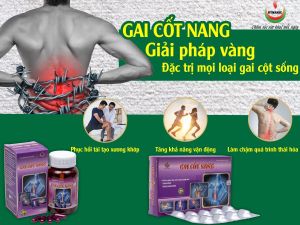 GAI CỐT NANG -Hỗ trợ giảm đau xương khớp viêm khớp thoái hóa khớp (Hộp 30v và Lọ 60v)