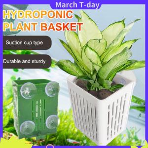 March Treo hút cup móc Aquarium nhà máy chủ nhựa Aquarium planter cup planter giỏ thủy sản nồi hộp aquascape trang trí