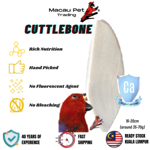 MPT Cuttlebone Bird Cuttlebone Parrot Cuttle Bone Bird Tulang Sotong Burung Tulang Sotong Lovebird Cuttlebone Budgie Tulang Sotong Lovebird Cuttlebone Sun Conure Tulang Sotong Cuttlebone Murai Batu Tulang Sotong Macaw Cuttlebone Merbah Jambul