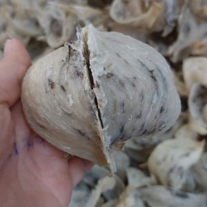 SP8 - [100gr] Tổ yến sào thô loại 1
