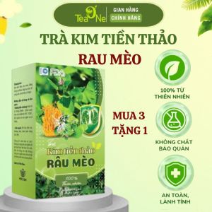 Trà Kim Tiền Thảo Râu Mèo Combo 3 Hộp Tặng 1 Bổ Thận Lợi Tiểu Giảm Sỏi Thận Thanh Nhiệt Mát Gan