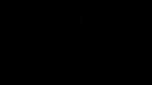 Foldable Adjustable Registration Frame Bracket For Tiger Sport 800 Tiger Sport 660 2022-2025 Tail Tidy License Plate Holder Kit