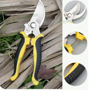 Gbest Sk5 Garden Plant Pruning Shears Tree Pruner Branch Scissor Stainless Steel Flower Scissors Home Hand Bonsai Tool Rambutan Cutter Gardening Planting Tools And Equipment Secateurs Shear Grafting Prunning Trees Prune Fruit Trimmer