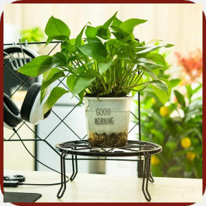 Plant Stand Floor Flower Pot Rack Round Iron Garden Indoor Balcony Decor Single Layer Plant Stand