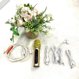 Mic C11 bản nâng cấpkèm dây Livestream chế song ca 2 ngườita nghe và phụ kiện