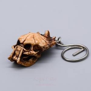 พวงกุญแจกะโหลกพรีเดเตอร์จิ๋วเขี้ยวคู่ เรซิน เหมือนจริง งานปราณีต เกรดส่งออก