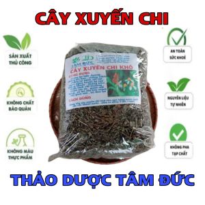100g cây xuyến chi sấy khô