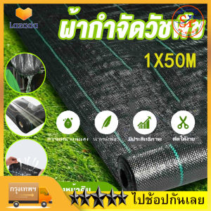 *ค่าส่งถูก* คลุมวัชพืช (ยาว200ม.) กำจัดหญ้า พลาสติกคลุมดิน พลาสติกคลุมวัชพืช พลาสติกคลุมหญ้า ผ้าคลุมดิน ผ้าคลุมวัชพืช ป้องกันวัชพืช กำจัดวัชพืช วัสดุที่ย่อยสลายได้ ขนาด 1X50ม