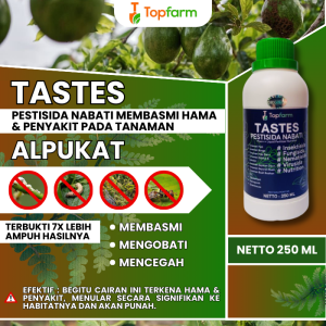 Obat Semprot Buah Alpukat / Obat Pembasmi Ulat Alpukat / Obat Penumbuh Buah Alpukat / Obat Hama Ulat Daun Alpukat / Obat Tanaman Pohon Alpukat