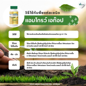 แอมโกรว์ เอทอป ผลิตภัณฑ์ใหม่จากแอมโกรว์ ช่วยแก้ปัญหาเชื้อราและรากเน่าในทุเรียนและไม้ผลต่าง ๆ ใช้ได้กับเกษตรกรไทยทุกคน ด้วยประสิทธิภาพที่ดีและได้รับการยอมรับจากเกษตรกรยุคใหม่
