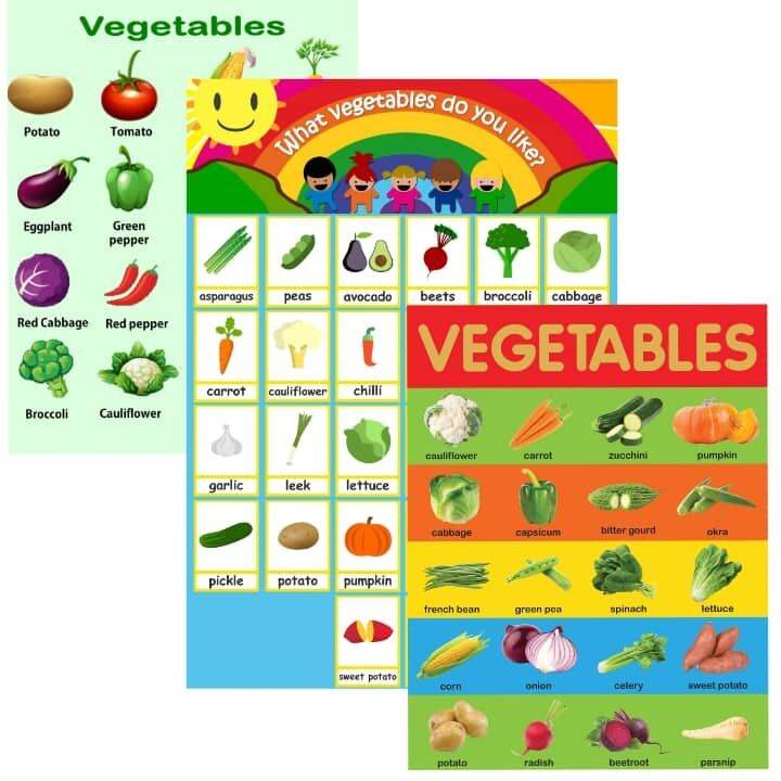 Vegetables Laminated Educational Charts | Lazada PH