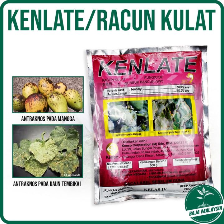 Klitoral eyakulyatsiya haqida video