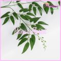 DAUN WILLOW LUSINAN BERCABANG 3 DAUN HIASAN RUANGAN ARTIFICIAL DEKORASI PERNIKAHAN DAUN RUSCUS ZAITUN BUATAN TANGAN TANAMAN BUNGA HIJAU PLASTIK DECOR RUMAH LUAR OUTDOOR MURAH BERKUALITAS IMPORT. 