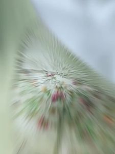 Shipped from China [2025] Seamless Beauty Back Bra Integrated Sports Tube Top Underwear Women Thin Printed Large Bust Minimizer Push Up Plus Size Bra