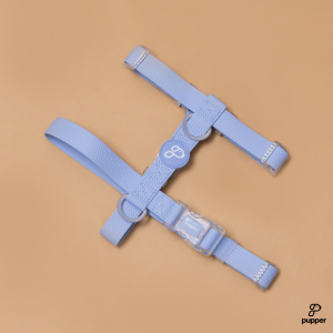 Pupper Weatherproof Dog Harness in Blue (Waterproof and Dustproof)