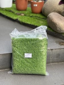Thảm cỏ trải sàn nhà nhân tạo KT 60x100cm đế xanh