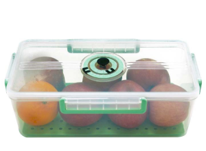 5.5L room with lid sealed drain transparent fruit household storage box