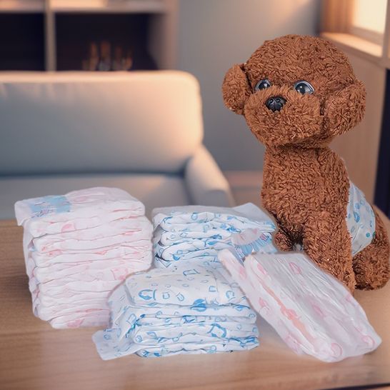 FEMALE DIAPER- 10 pcs per Pack | Lazada PH