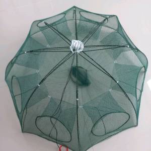 [ TẶNG MỒI DÙNG THỬ ] LƯỚI BÁT QUÁI Lưới Đánh Cá 4 cửa 6 cửa 8 cửa 16 cửa 12 cửa đủ loại - ĐỒ CÂU 24H lưới bắt cá lưới lồng bắt cá tôm lươn trạch lưới đánh cá lồng bát quái