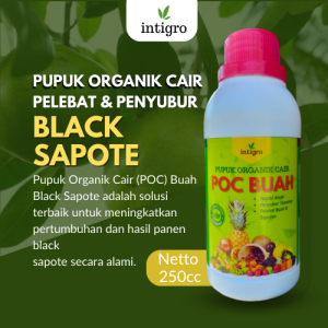 Pupuk Black Sapote / Pupuk Penyubur Pembesar Booster Pelebat Black Sapote Sawo Hitam Cepat Berbuah