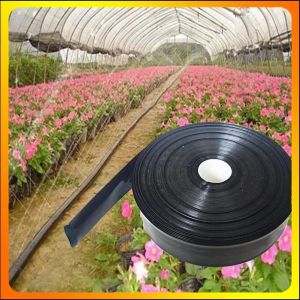 Ống Tưới Phun Mưa Phi 27 34 42mm Ống Nhưa 2 Lớp Có Lỗ Sẵn Dài 100m Tưới Cây