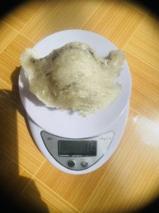 Tổ yến thô nguyên chất nhà nuôi giá dùng thử (7g-8g-10g) tặng kèm đồ trưng