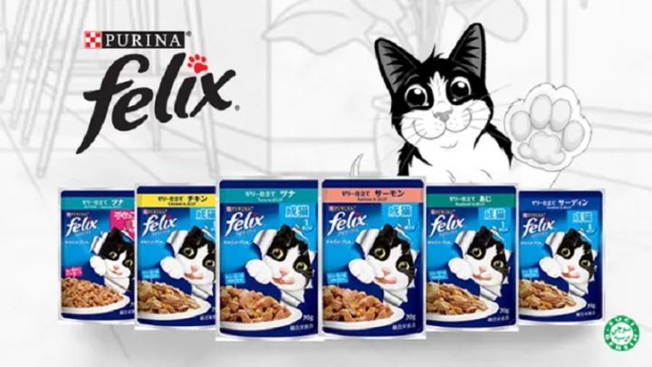 Felix kitten cheap wet food