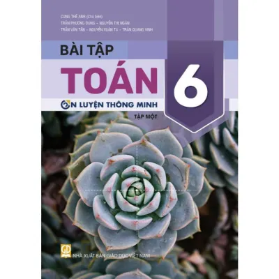 BeeBook - Bài tập Toán lớp 6 tập 1 (Ôn luyện thông minh) Bám sát SGK Kết nối tri thức với cuộc sống