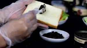 新品野森达黑松露酱160克云南黑松露酱黑松露新鲜黑松露酱商用