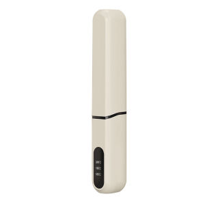 2026 Hot Sale [ Shipped from China ] Wireless hair straightening comb for both dry and wet use negative ion portable curling iron exclusively available B3