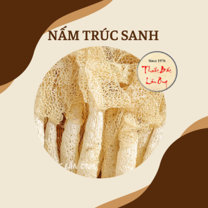 Tổng hợp các loại nấm quý nấm bụng dê tùng nhung nấm lộc nhung đầu khỉ nấm trúc sanh - Lãn Ông