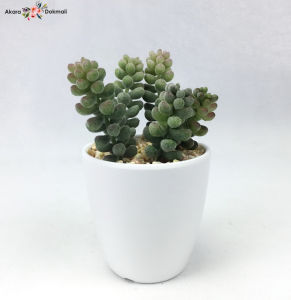 กระถางต้นไม้ปลอมมินิมอล แคคตัสปลอมพร้อมกระถาง