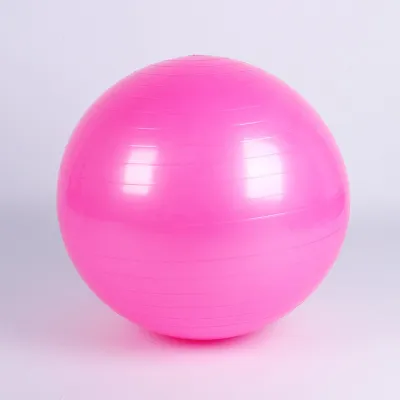 【Free Pump】65cm Yoga Ball Fitness Balance Gym Ball Fitness Balls Pilates Workout Ball