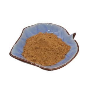 Vaccaria Extract 10:1 ratio powder multiple sizes samples available ready stock free shipping special price for bulk orders