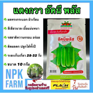 ตะวันต้นกล้า แตงกวา อัคนี พลัส [ ขนาด 10 กรัม ] หมดอายุ 05/2570  ลอตใหม่ งอกดี ผลทรงกระบอก ผิวเรียบ หนามน้อย สีขาวนวล เนื้อแน่น กรอบและไส้ผลเล็ก ขายง่าย ตลาดชอบ npkplant