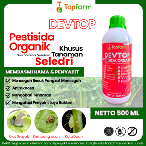 Obat Hama Daun Seledri / Obat Bercak Daun Pada Seledri / Obat Busuk Batang Seledri / Obat Hama Seledri / Obat Hama Buat Seledri/ Obat Bercak Daun Pada Seledri  / Obat Hama Tanaman Seledri