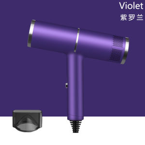 AE influencer-approved negative ion hair dryer for home use 110V US standard hair dryer practical gift
