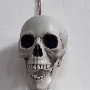 Bộ xương giả trang trí Halloween 165cm Đồ trang trí tạo không khí kinh dị đạo cụ trang trí nhà ma mô hình xương người giả