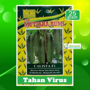 Benih Mentimun Ketimun Calista F1 Cap Mutiara Bumi Tahan Virus Gemini Bumi Buah Hijau Tua Isi 25 Gram