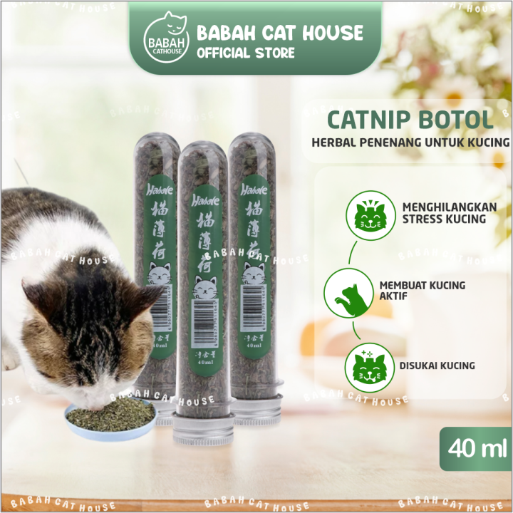 Catnip BOTOL Mainan Kucing Obat Catmint Penenang Serbuk Rumput Kering Cat  nip Mint Stres Murah Lazada Indonesia