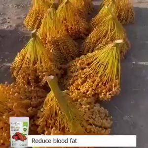 400g/Can 【BUY 1 TAKE 1】200g/bag Date Palm Dried Dates by Sunfood Pure Dried Dates
