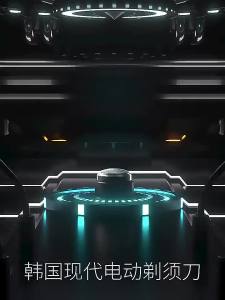 TNW Razor Shaver Rechargeable Portable Shaver Rechargeable mini Electric Razor Waterproof Beard Razor Wet & Dry Mens for Men Shavers